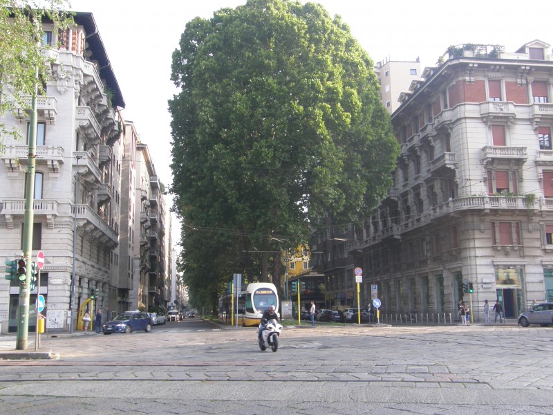 Sporvogn i bydelen Porta Romana i Milano