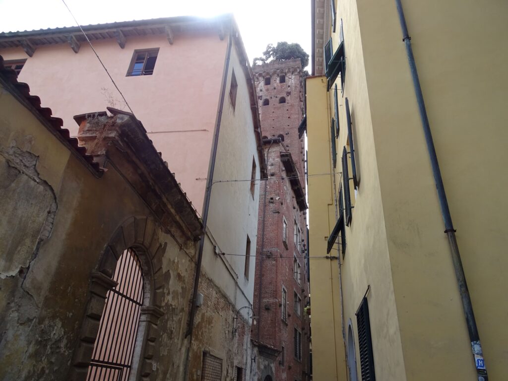 Torre Guinigi i Lucca