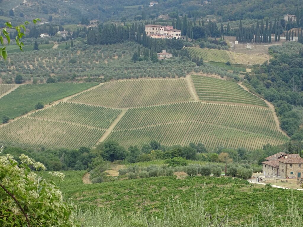 Vingårde i Chianti, Toscana