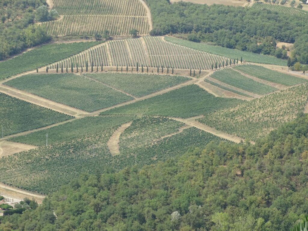 Vinmarker i Chianti, Toscana, Italien